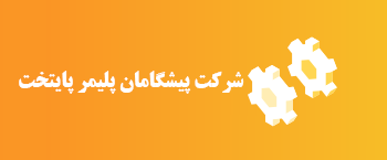 پلی پیونیر